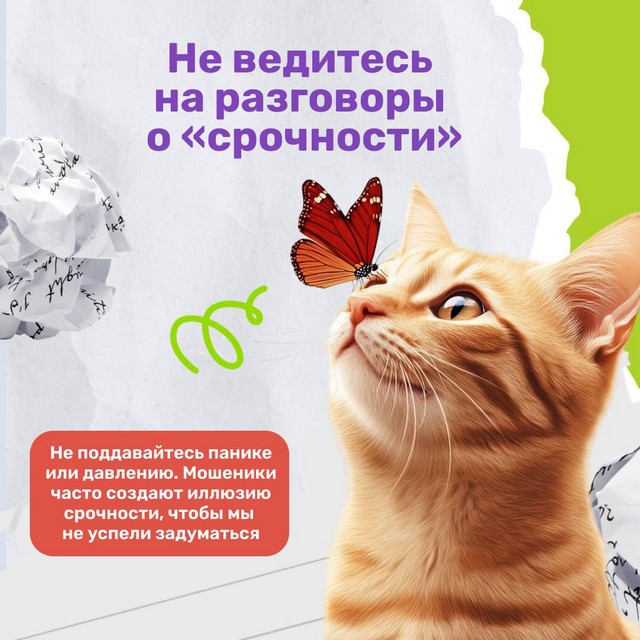 foto 2025 04 28 07 56 003