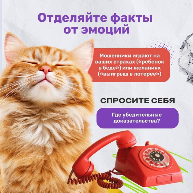 foto 2025 04 28 07 56 004