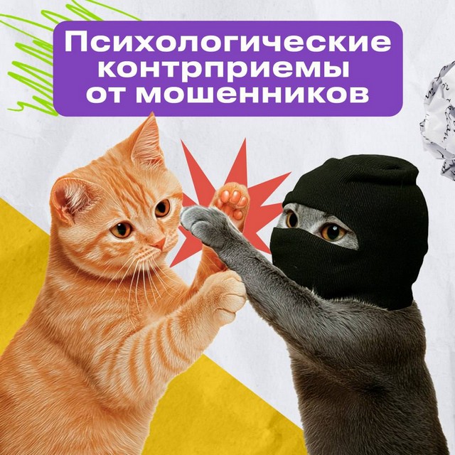 foto 2025 04 28 07 56 005