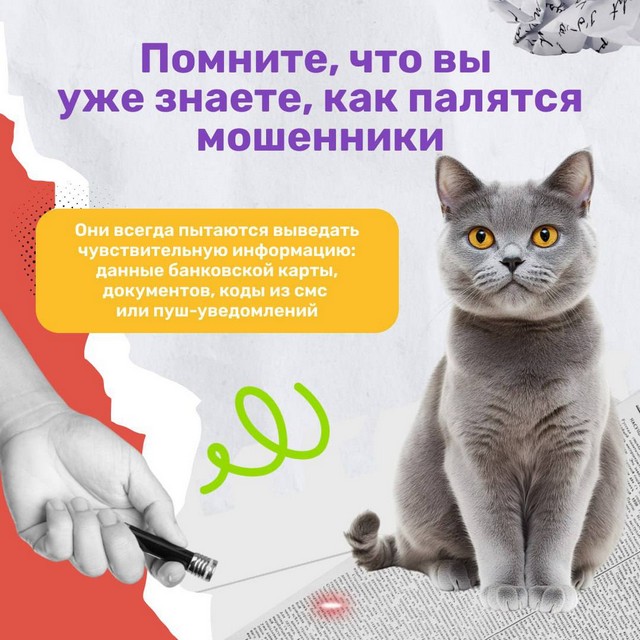 foto 2025 04 28 07 56 006