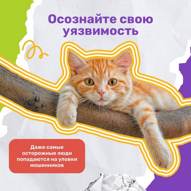 foto 2025 04 28 07 56 007
